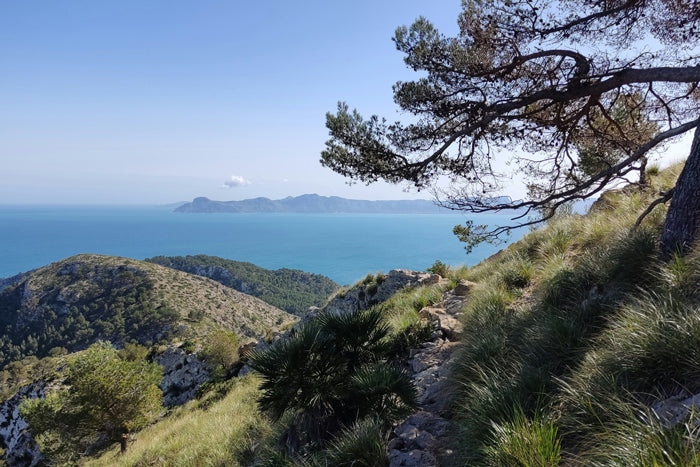 TLB Mallorca Mens lleather shoes 